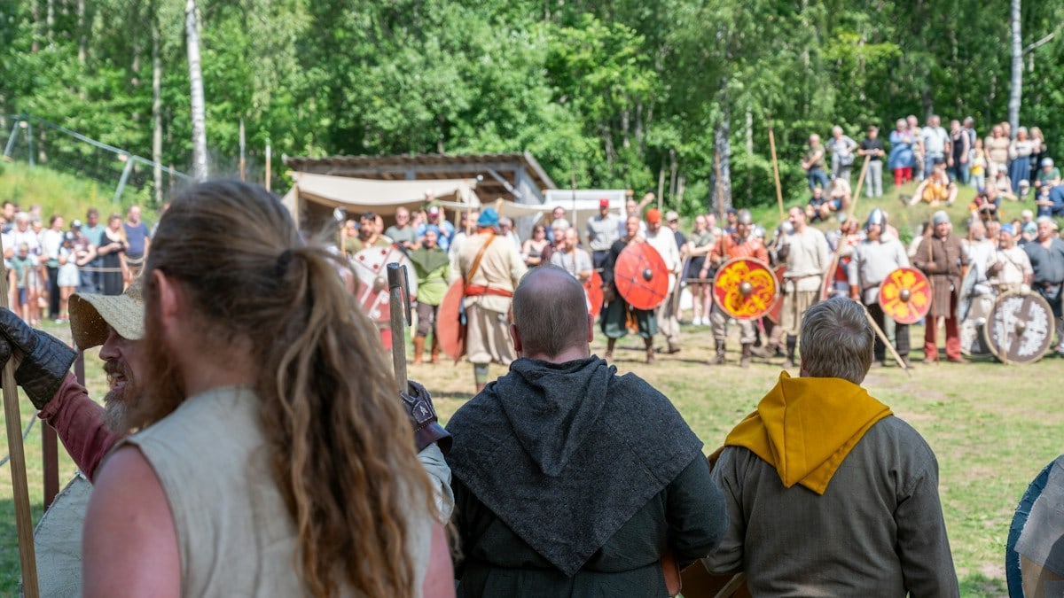 Borre viking market 2023